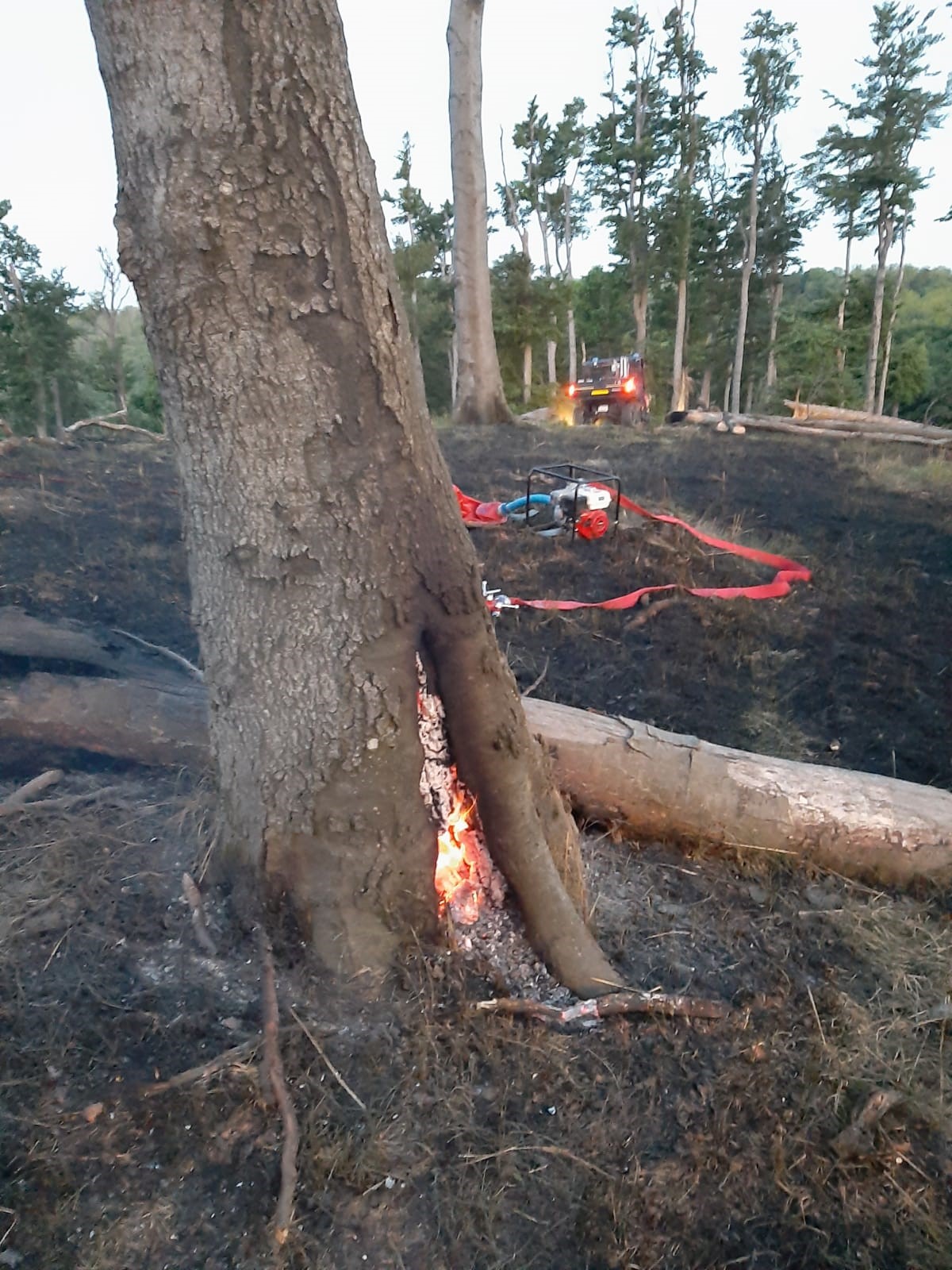 poziar_lesa_Limbach (5)